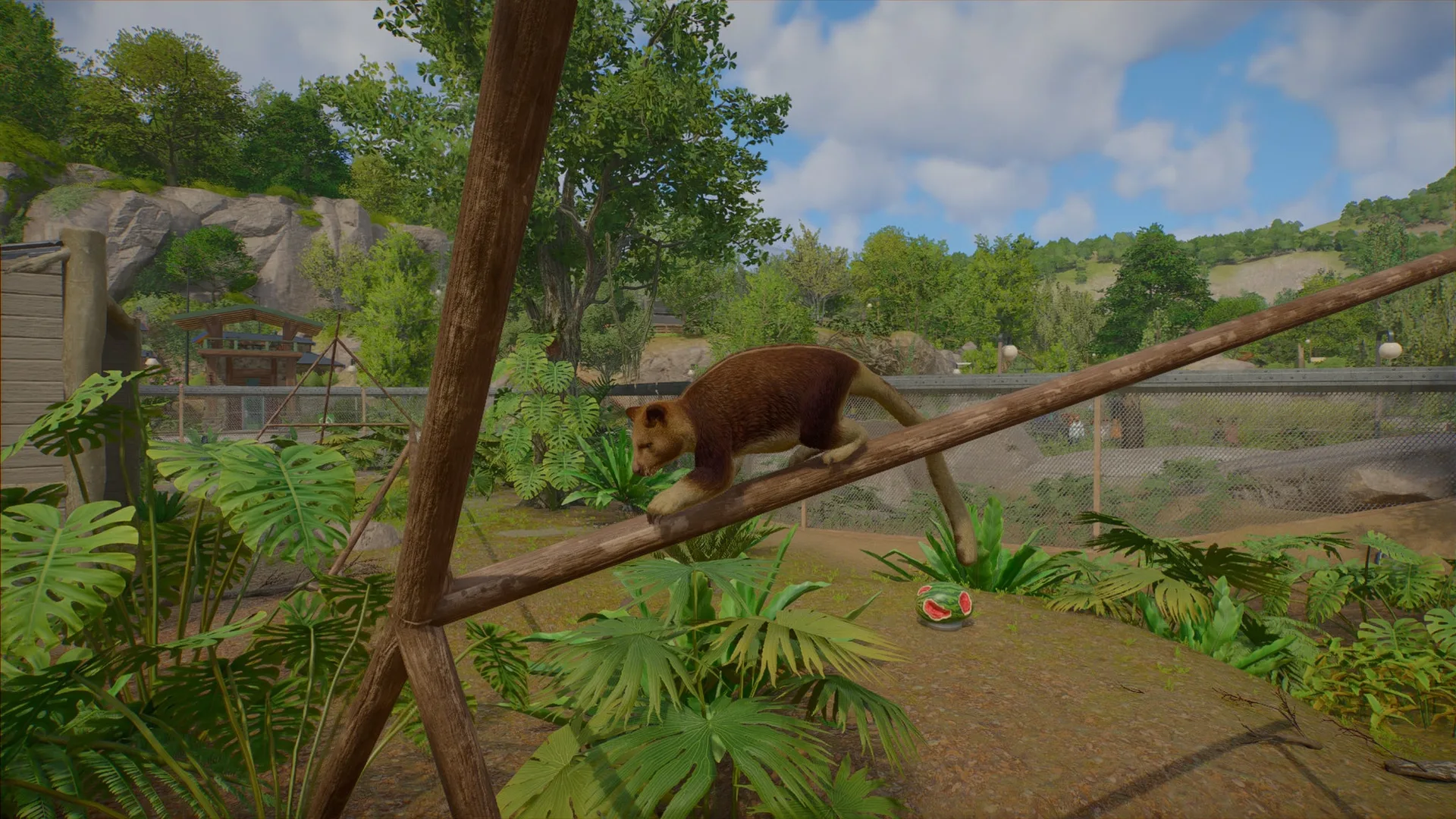 Planet Zoo 2 با 136 گونه جانوری؛ جزئیات آکواریوم‌ها و ذخیره‌گاه‌ها در تجربه اولیه Eurogamer
